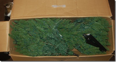 Unboxing a Christmas Tree 2009-11-27 009