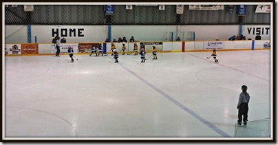 20160221_PlayoffHockey