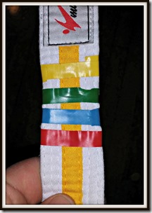 20160226_Final stripe