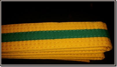 20160310_GreenStripForJAcob