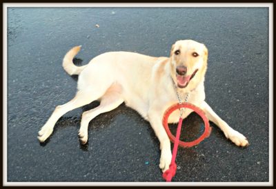 ruby last day summer